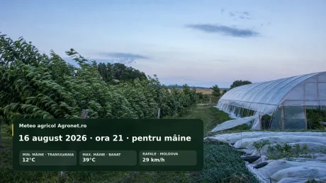 Peisaj agricol cu sere și vânt puternic în Moldova și Transilvania.