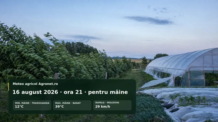 Peisaj agricol cu sere și vânt puternic în Moldova și Transilvania.