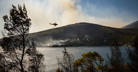 Efectele schimbărilor climatice asupra ecosistemelor marine din Europa.