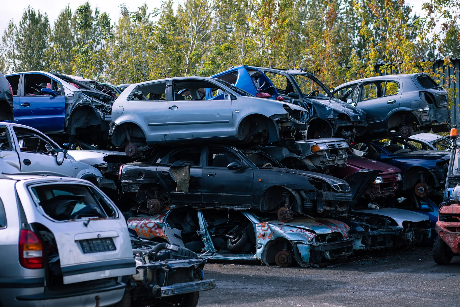 Mașini vechi abandonate într-un parc auto, așteptând reciclarea.