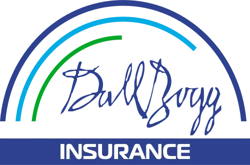 Logo-ul companiei DallBogg, asigurător din Bulgaria, retras licența.