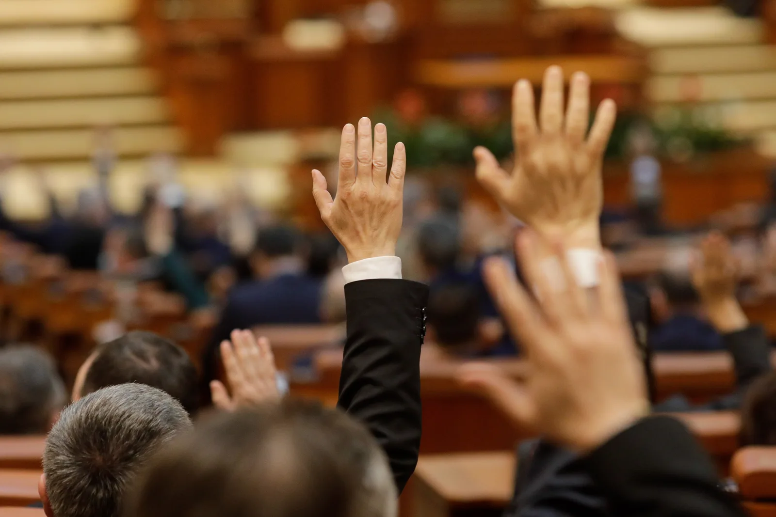 Membrii Parlamentului ridică mâinile pentru voturi în sesiune extraordinară.