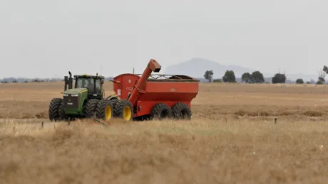 Tractor lucrând pe un câmp de rapiță în România, simbolizând exporturile viitoare.