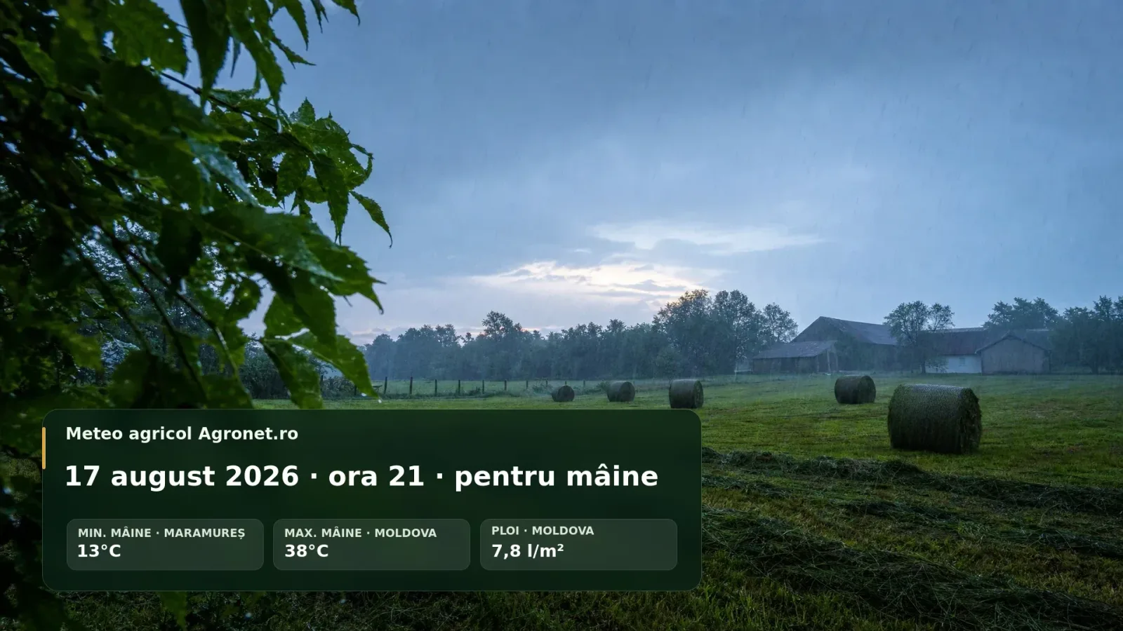 Ploi locale în Crișana, risc de acces dificil în câmpuri agricole.