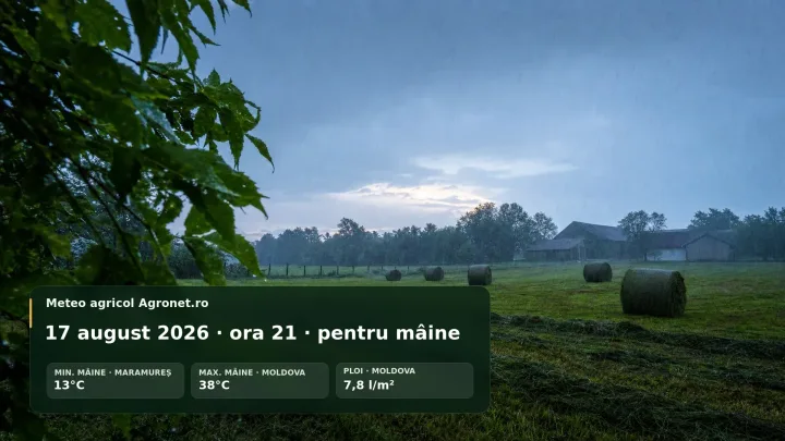 Ploi locale în Crișana, risc de acces dificil în câmpuri agricole.