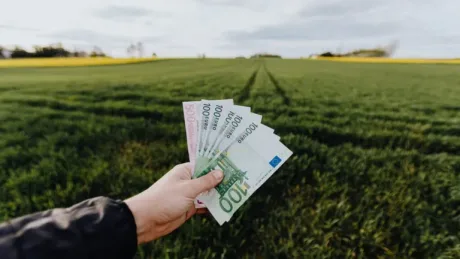 Bancnote de euro pe un câmp verde, simbolizând sprijinul financiar.