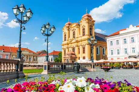 Piața din Timișoara, cu flori colorate și clădiri istorice în fundal.