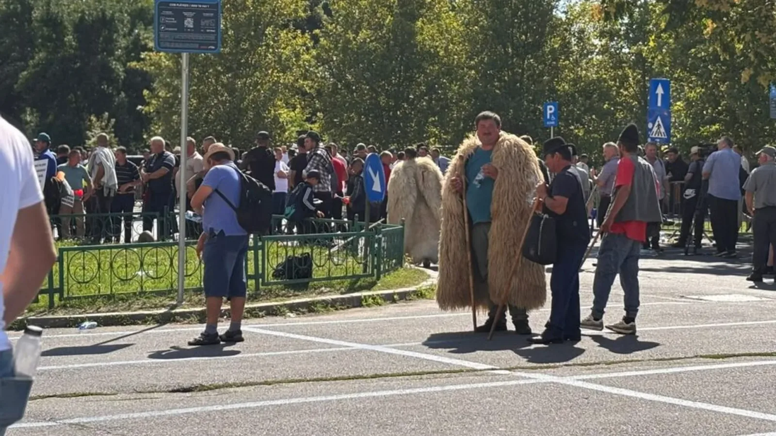 Crescătorii de ovine protestează pentru deblocarea exporturilor și măsuri împotriva bolilor.