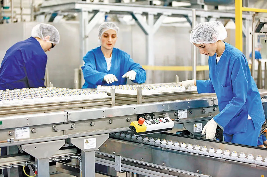 Angajați lucrând într-o fabrică de produse medicale din Timișoara.