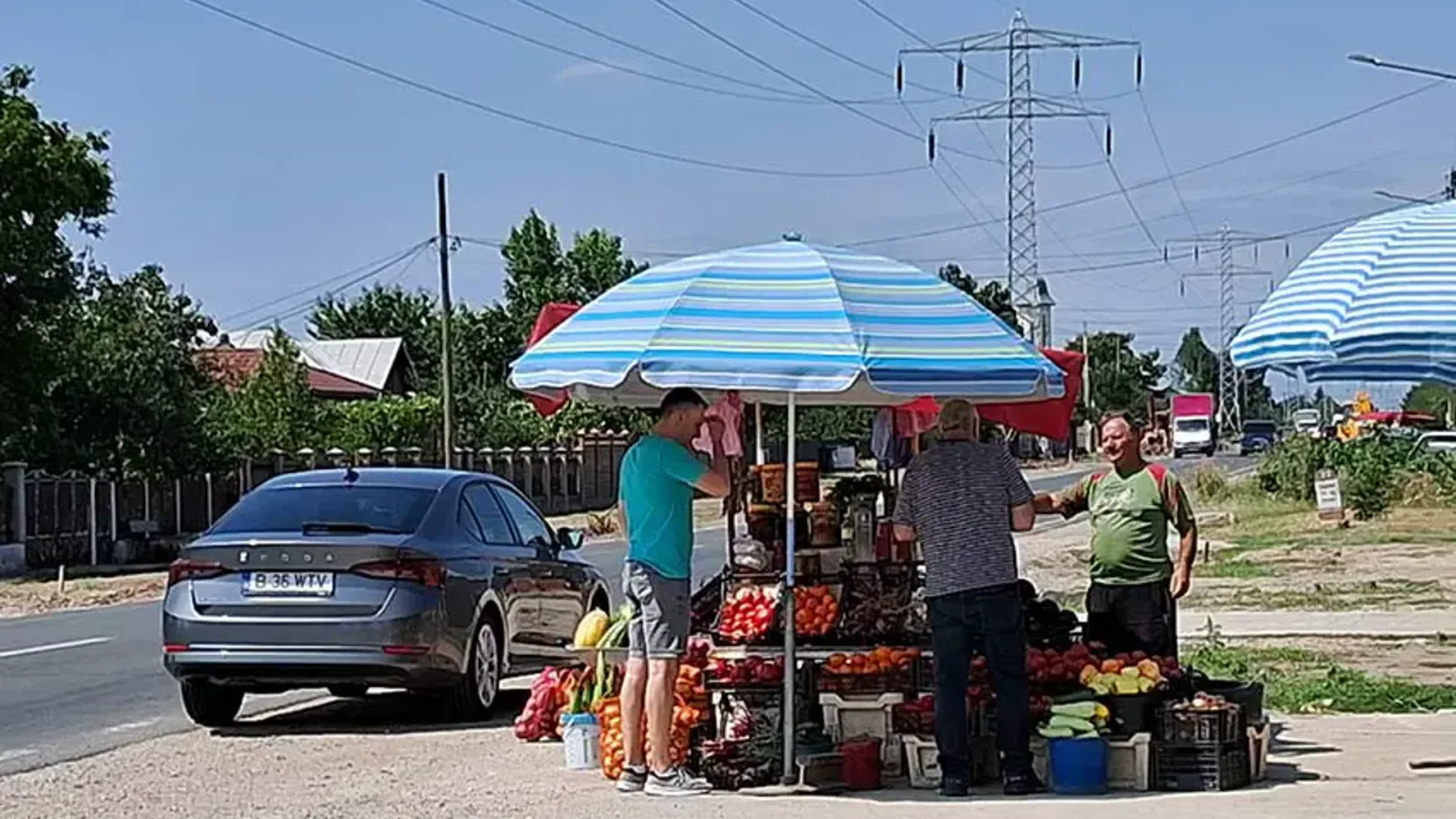 Legumicultori din Dâmbovița vând legume și fructe direct la poartă, reducând costurile de transport.
