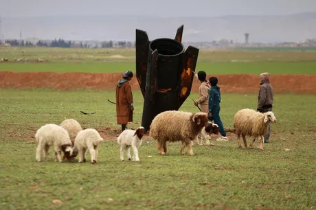 Copii se joacă în jurul unei rachete căzute, înconjurați de oi pe câmpul din Siria.