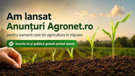 Nouă platformă pentru anunțuri agricole, facilitând contactul direct între fermieri.