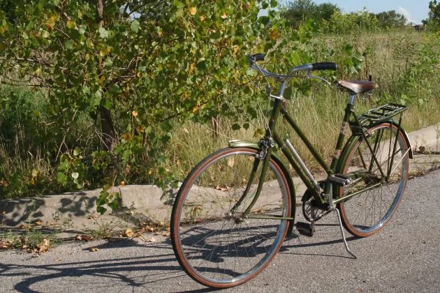 Bicicletă verde parcata pe marginea unei alei, înconjurată de natură.