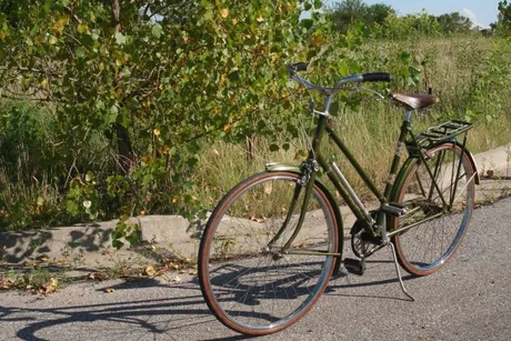 Bicicletă verde parcata pe marginea unei alei, înconjurată de natură.