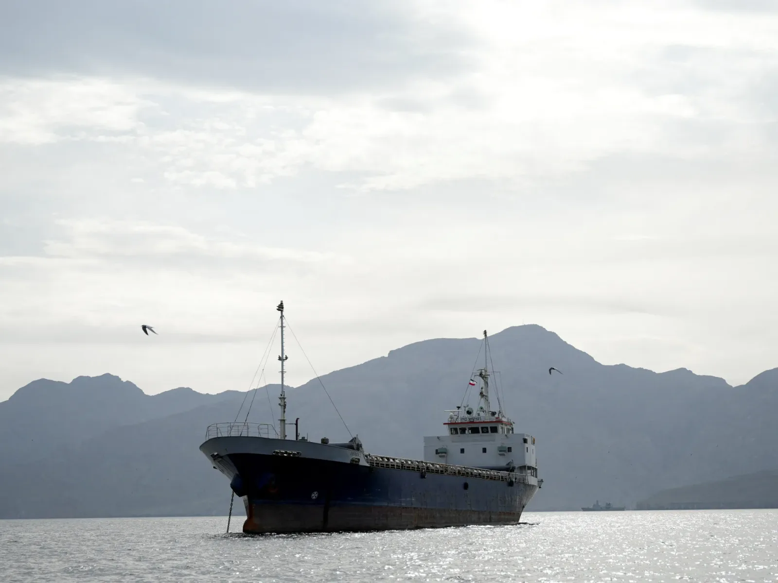 Vas maritim navigând pe un fundal montan în ape liniștite.
