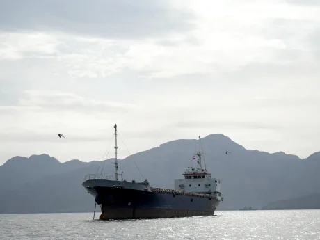 Vas maritim navigând pe un fundal montan în ape liniștite.