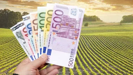 Usturoi proaspăt, simbol al agriculturii din Olt.