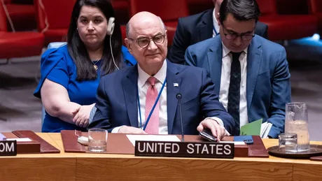 Dan Negrea la Consiliul de Securitate ONU, discutând despre conflictul din Ucraina.