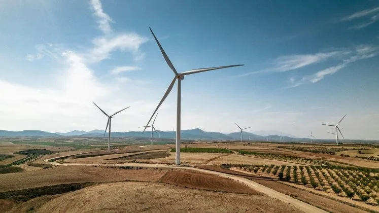 Parc eolian cu turbine în peisajul din Constanța, România.