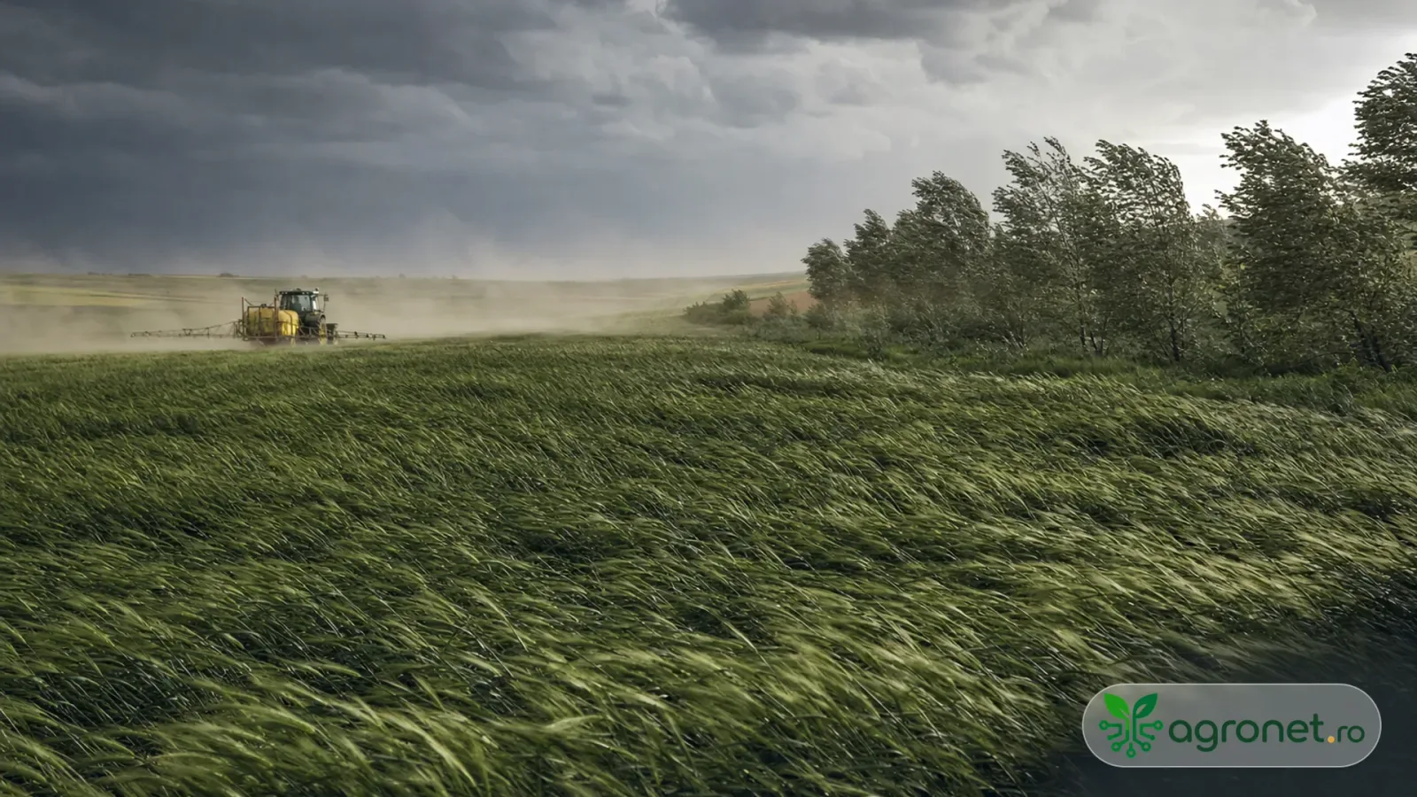 Vânt puternic afectează lucrările agricole în Moldova și Crișana.
