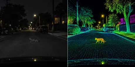 Un pisoi traversând strada pe timp de noapte, vizibil greu în întuneric.