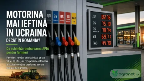 Prețul motorinei în România comparat cu cel din Ucraina, evidențiind costurile pentru fermieri.