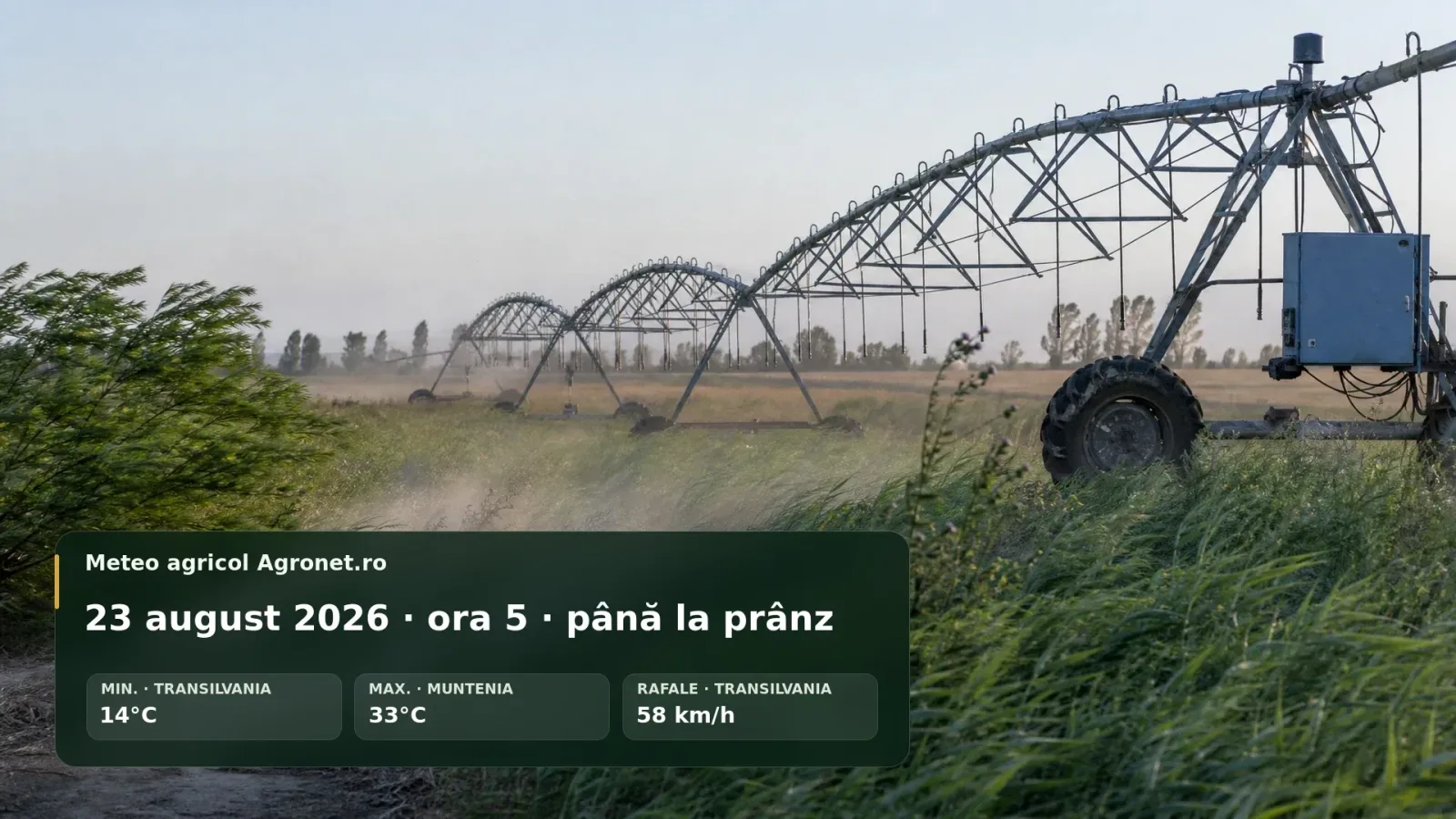 Vânt puternic afectează lucrările agricole în Moldova și Muntenia.
