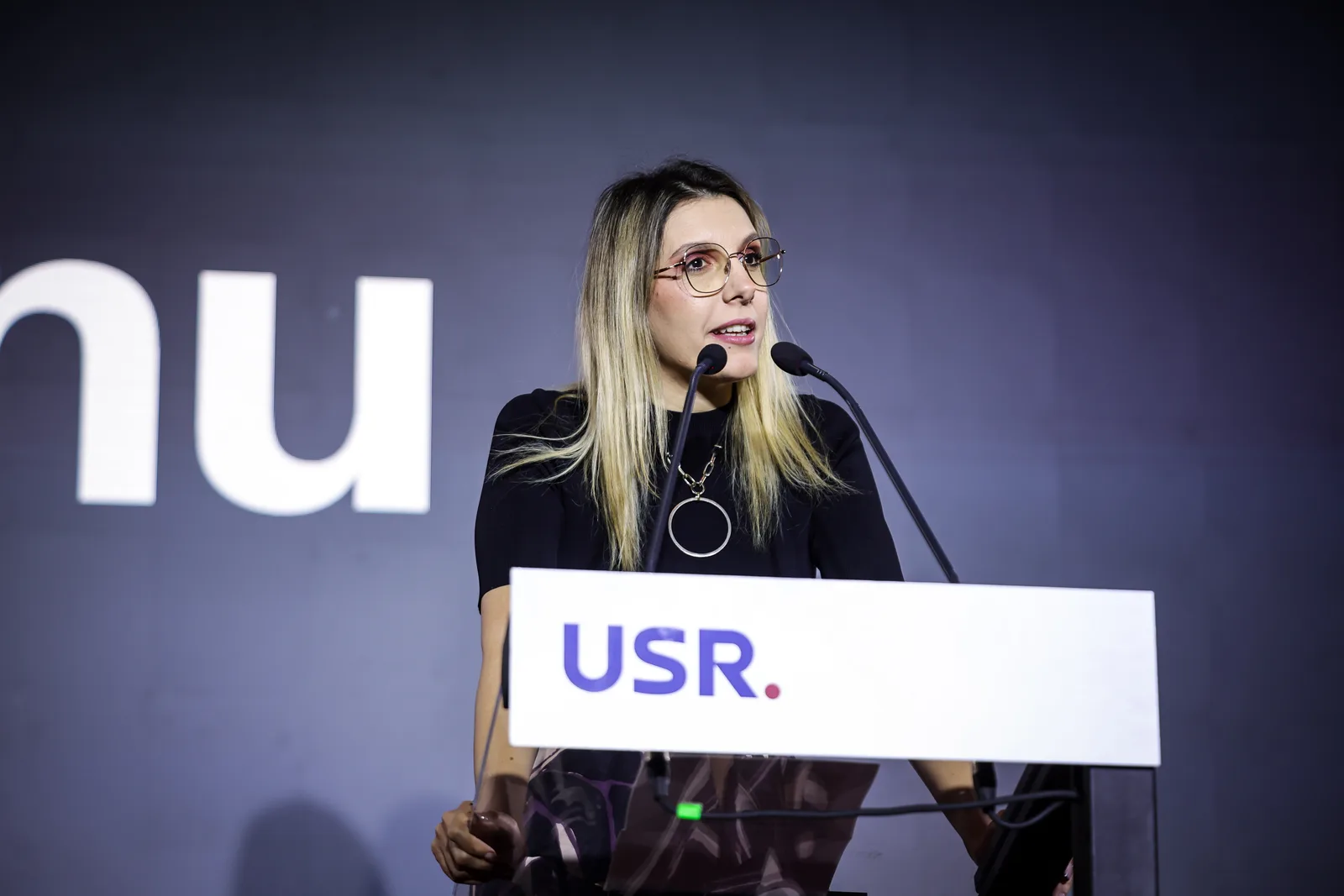 Diana Buzoianu critică rezoluția PSD și cere respectarea promisiunilor politice.