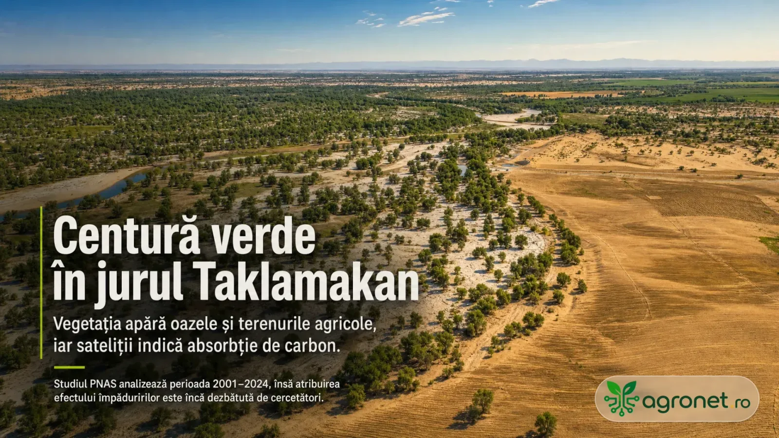 Peisaj verde în jurul deșertului Taklamakan, protejând oazele și culturile agricole.