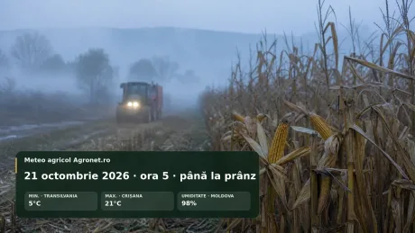 Ceață densă pe câmpurile din Moldova, tractor în acțiune la prima oră.
