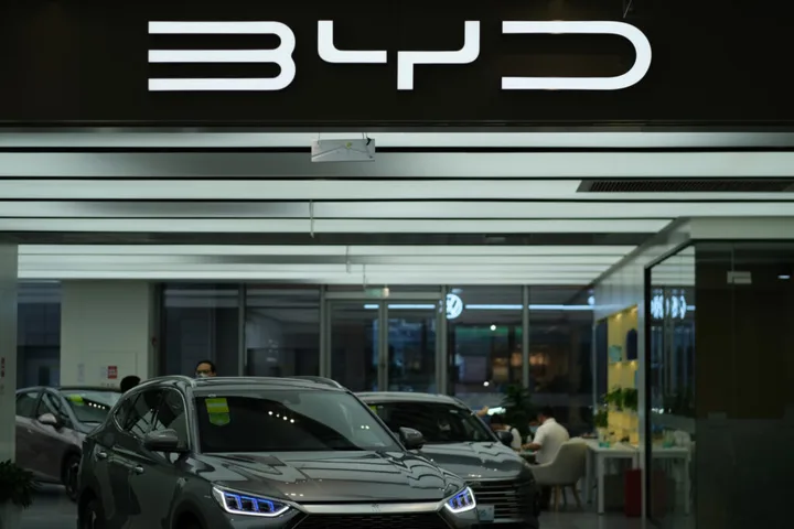 Showroom auto cu modele hibride plug-in și logo BYD vizibil