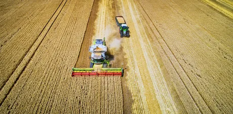 Peisaj agricol cu utilaje care recoltează cereale pe câmpuri aurii.