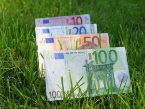 Subvenția pe hectar pentru tutun în 2025 este semnificativă.