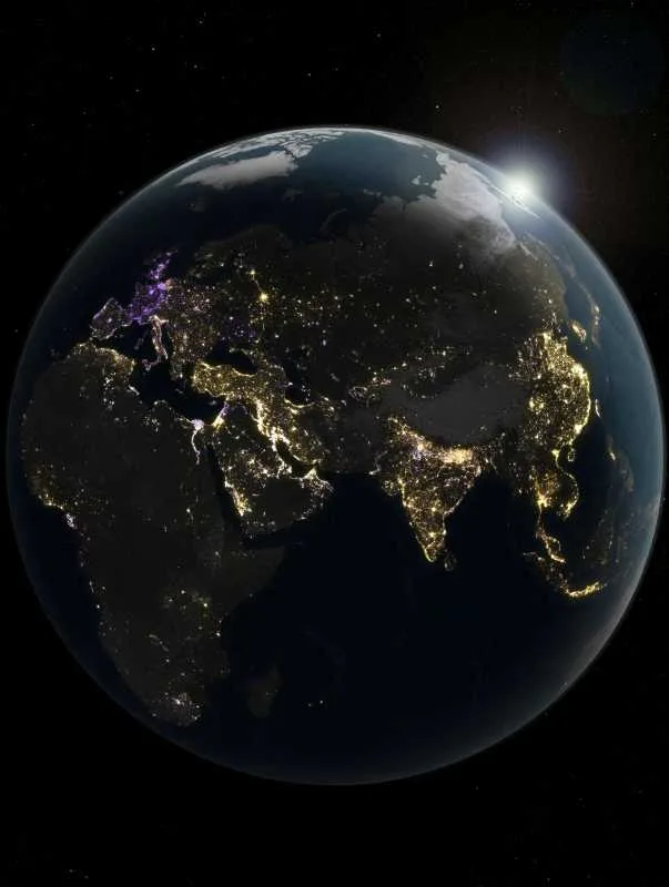Harta globală a rețelei fungice subterane și impactul agriculturii asupra solului.