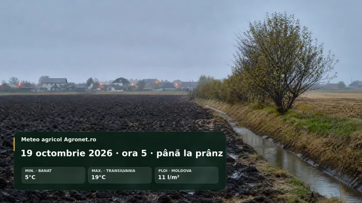 Ploi torențiale afectează lucrările agricole în Moldova și Dobrogea.