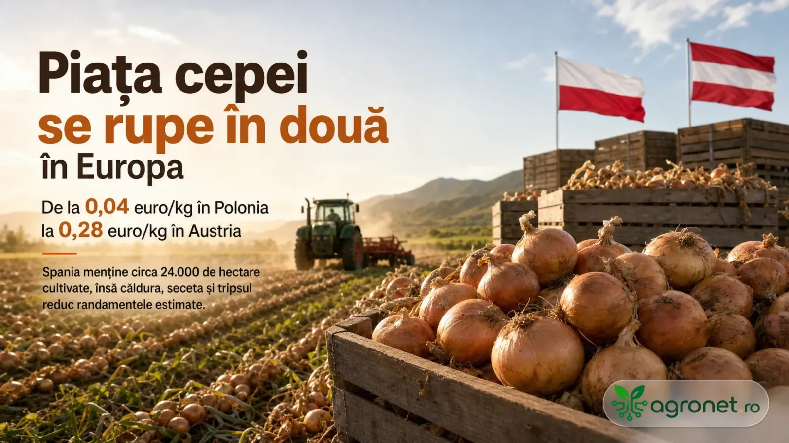 Diferențele de prețuri la ceapă între Polonia și Austria în Europa.