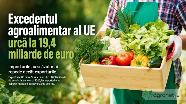 Creșterea excedentului agroalimentar al UE în 2026, influențată de scăderea importurilor.