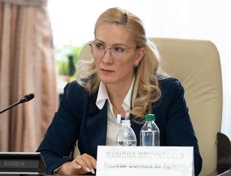 Ramona Bruynseels discută despre securitatea națională și consultările NATO.