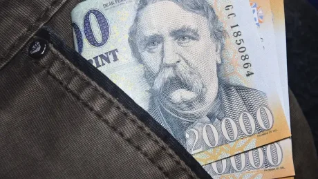 Bancnote de forinți ungurești în buzunarul unei haine.