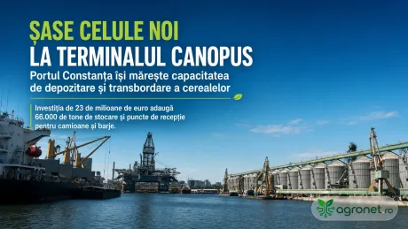 Extinderea terminalului Canopus pentru creșterea capacității de stocare a cerealelor.