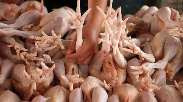 Carne de pui proaspătă pregătită pentru export din China.