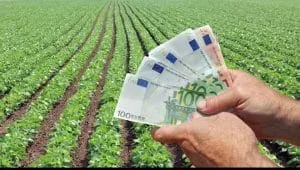 Bancnote euro în mâinile unui agricultor pe câmp.