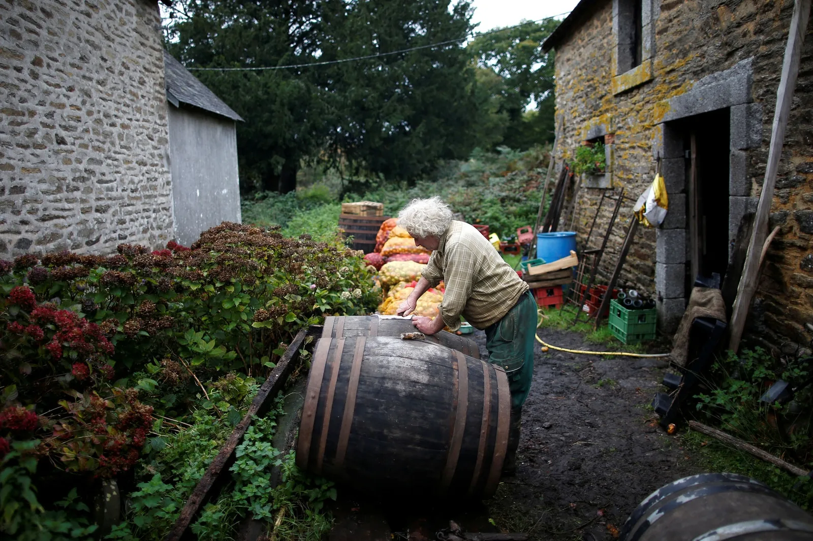 Un agricultor lucrează la o fermă, înconjurat de vegetație și unelte agricole.