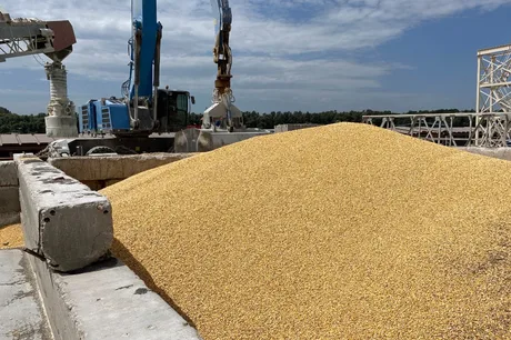 Grâu descărcat în port, simbolizând conflictul din Ucraina.