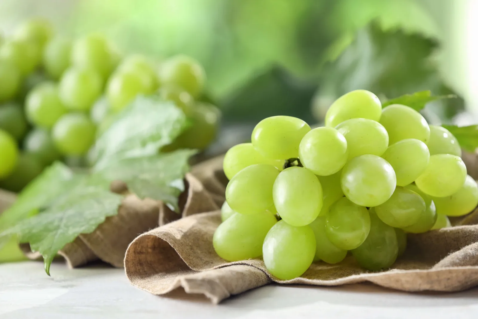 Struguri verzi proaspeți pe o țesătură naturală, simbolizând viticultura.