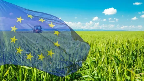 Steagul Uniunii Europene fluturând pe un câmp verde sub cer senin.