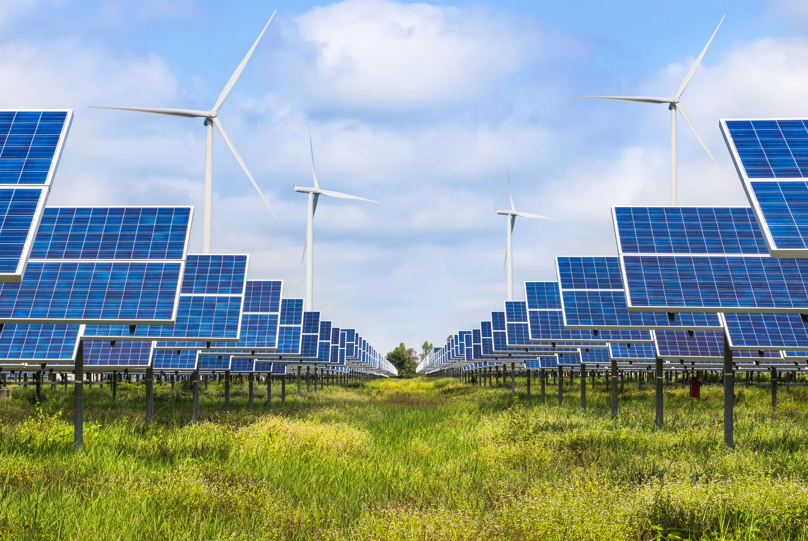 Panouri solare și turbine eoliene într-un peisaj verde, simbolizând tranziția energetică.
