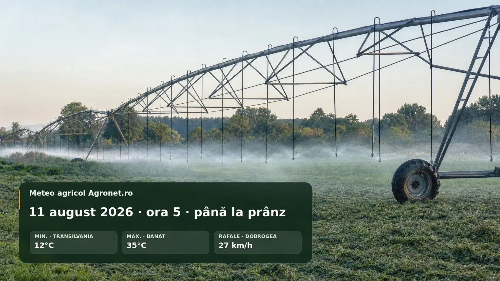 Caniculă în România, cu temperaturi ridicate și risc de stres termic.