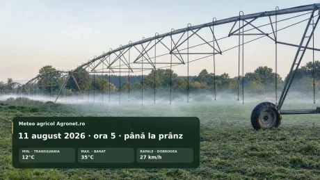 Caniculă în România, cu temperaturi ridicate și risc de stres termic.