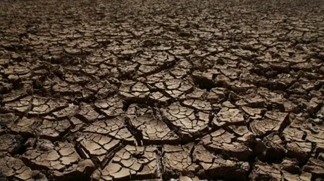 Pământ uscat și crăpat din cauza secetei severe.
